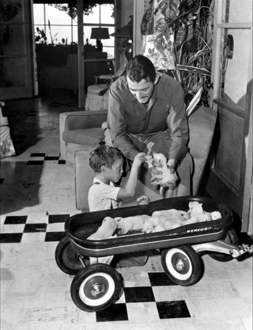 lucynic83:

Gregory Peck

As if he needed a kid and a wagon full of puppies to be more adorable! 